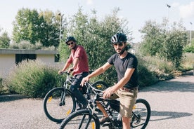 Passeio de bicicleta e degustação de vinhos de Siena