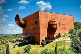 Visita guidata e degustazione di olio d'oliva a Ronda