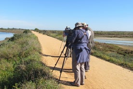 Mezza giornata di birdwatching intorno a Faro