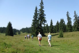 Privat heldagsvandringeventyr i Padis Karst-platået