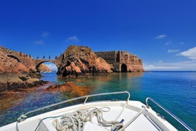 Excursión privada: excursión de un día a la isla Berlenga Grande desde Lisboa