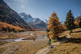 探索霞慕尼山谷 MTB 电动自行车的壮丽湖