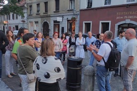 Stadstour door Ljubljana inclusief het kasteel van Ljubljana