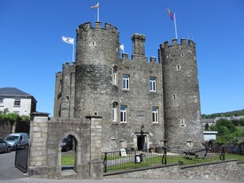 Enniscorthy Castle