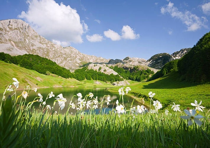 Sutjeska National Park in spring.jpg