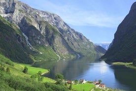 Bergen: Private Day Tour, Nærøyfjord Cruise and Flåm Railway