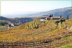 Oppdag Valpolicella vingårder og vinsmakingsopplevelse