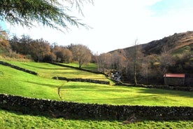 Portosta - Serra de Montemuro Shepherd's Trail Tour