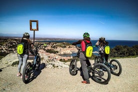 The Collioure Tops on Electric Scooters