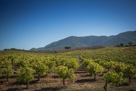 Tour privato del vino di Lisbona Arrábida: Paesaggio, cibo & vini