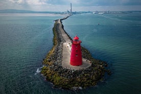 Excursão de bicicleta pela Baía de Dublin até PoolBeg Towers & Lighthouse