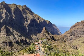 Nationaal park El Teide op Tenerife inclusief de vulkaan Pico del Teide en Masca