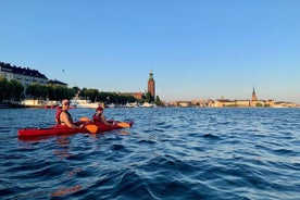 Guided Kayak Tour in Central Stockholm