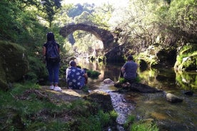 Parque Gerês - 2 días con noche en el campo - desde Oporto