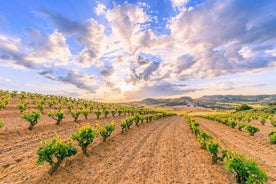 Visite privée d'une journée complète des vins de Ribera del Duero au départ de Madrid