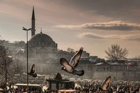 Istanbul: Full-Day Private Guided Tour