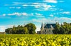 Top 8 Best Things To Do in Bordeaux: Wines and Heritage Sites