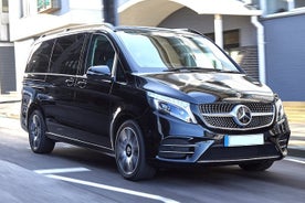 Private Transfer: Disneyland Park or Hotel to Paris by Luxury Van