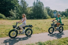 Electric Fatbike Full Day Rental in Breda