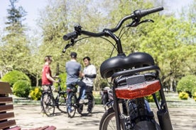 Tour elétrico de bicicleta de 3 horas no Porto