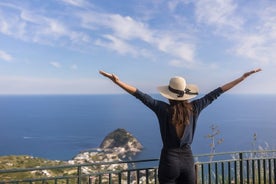 Dagtur til Ischia fra Sorrento: Sightseeing og lækker madtur med lokal guide