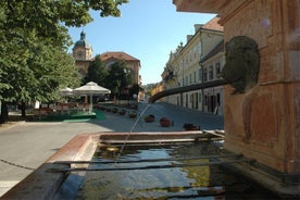 Tour privado de un día a los monasterios de Fruska Gora, Sremski Karlovci y Novi Sad