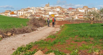 Camino De Santiago - The Way to Santiago (The last 115KM)