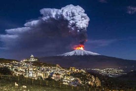 Visite privée du terminal de croisière de Messine à l'Etna + Etna Winery