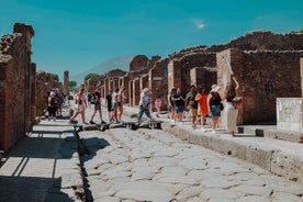 Pompeji og Herculaneum guidet tur - højhastighedstog fra Rom