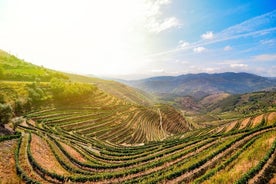 Full Day, Wine Tasting, River Cruise and Lunch from Porto