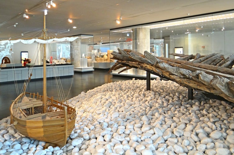 Le_musée_d-Histoire_de_Marseille_(14017861840).jpg