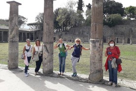 Tour de día completo por Pompeya y Stabiae con recogida