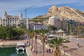 Privat overføring fra La Mata til Alicante–Elche (ALC) flyplass