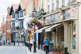 Ganztägige Tour durch das Stadtzentrum von Dublin mit privatem Fahrer