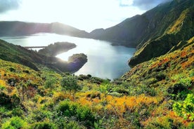 Privat tur 1-4 personer Hela dagen Sete Cidades & Lagoa do Fogo