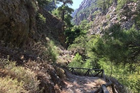 Caminhada na excursão privada ao desfiladeiro de Agia Irini (preço por grupo de 6)