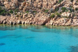 Tour de día completo a bordo de un Gozzo en Asinara - recogida en Alghero