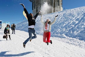 Frá Zürich: Fjallatindarævintýri á Mount Titlis