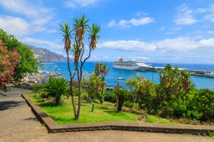 Aerial drone view of Camara de Lobos village, Madeira.