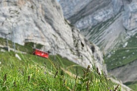 Tour privado em Basileia - Monte Pilatus e cruzeiro no Lago de Lucerna