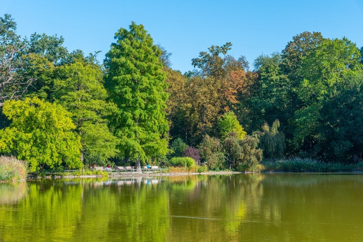 Photo of Karlsruhe palace during a sunny day viewed from Schlossgarten park in Germany.