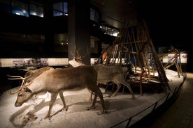 Rovaniemi: Inngangur á Arktikum Vísindasafnið