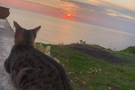 Sciara del Fuoco fra havet med en aperitivo til Ginostra, bådtur