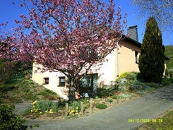 Holiday home in Olsdorf