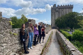 Enkel tilgang til Blarney Stone og Castle Gardens Tour