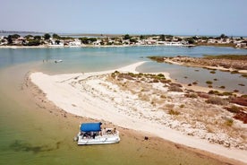 Paseo en barco de 3 horas en Ria Formosa en Olhão Algarve