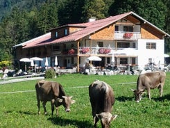 Berggasthof Riefenkopf