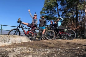 Bicicleta de montanha elétrica em Annecy