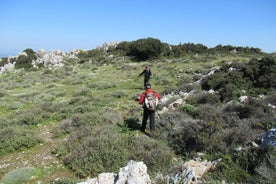 イラクリオンからの4時間のGiouchtas Trekkingハイキング体験