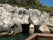 Grotta del Bue Marino, Isole Tremiti, Foggia, Apulia, Italy